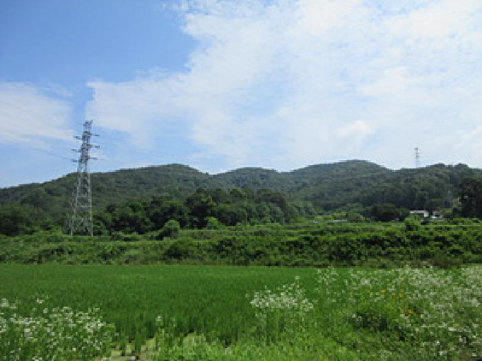 2025타경5345 임야 · 경상북도 예천군 예천읍 생천리 산10-1