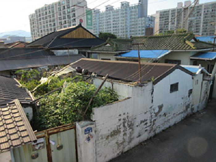 2025타경5369 대지 · 경상북도 상주시 복룡동 386-2