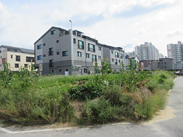 2025타경5385 대지 · 경상북도 예천군 호명읍 산합리 1344