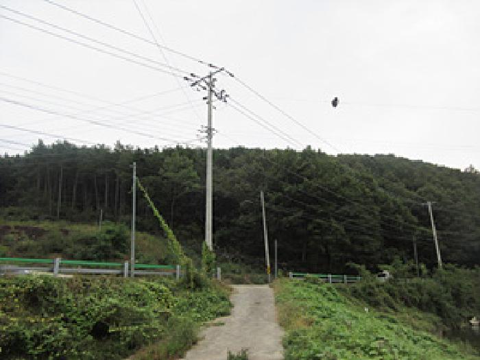 2025타경5417 임야 · 경상북도 상주시 화서면 율림리 산35-1