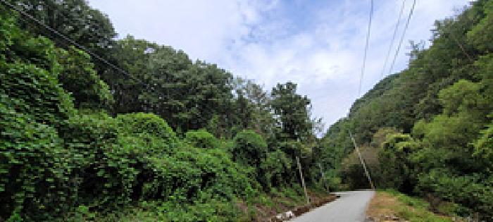 2025타경5421 임야 · 경상북도 예천군 보문면 산성리 산89
