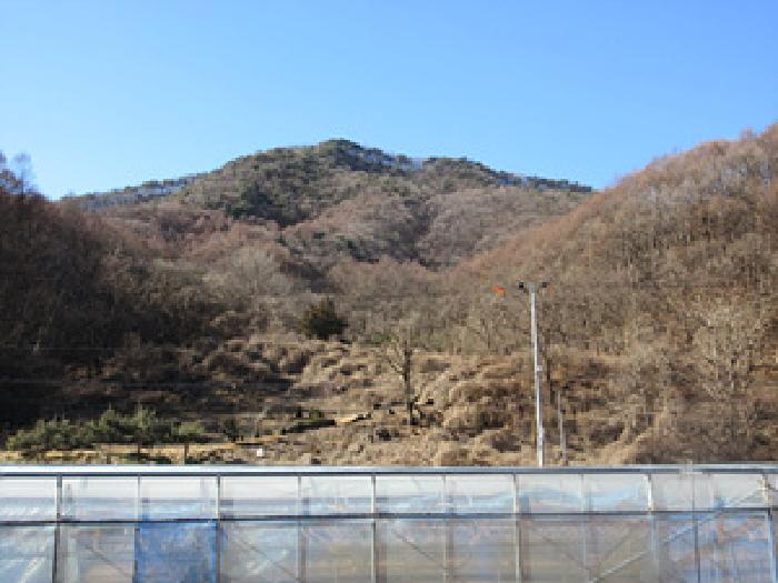 2026타경3004 · 경상북도 상주시 화서면 금산리 293-4