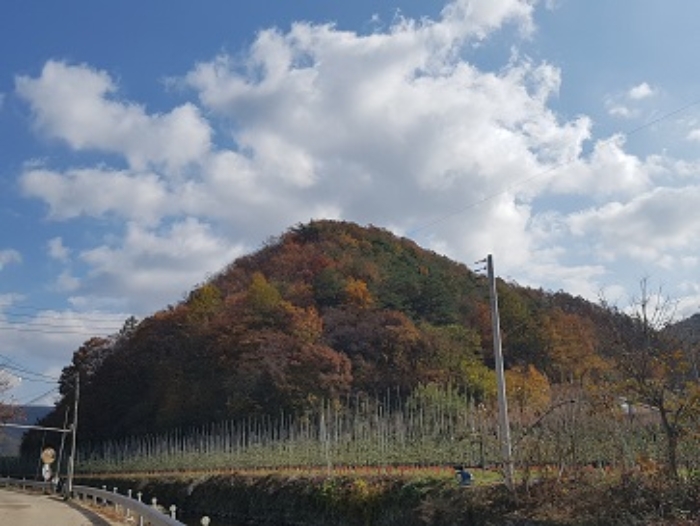 2024타경12007 임야 · 경상북도 청송군 현동면
