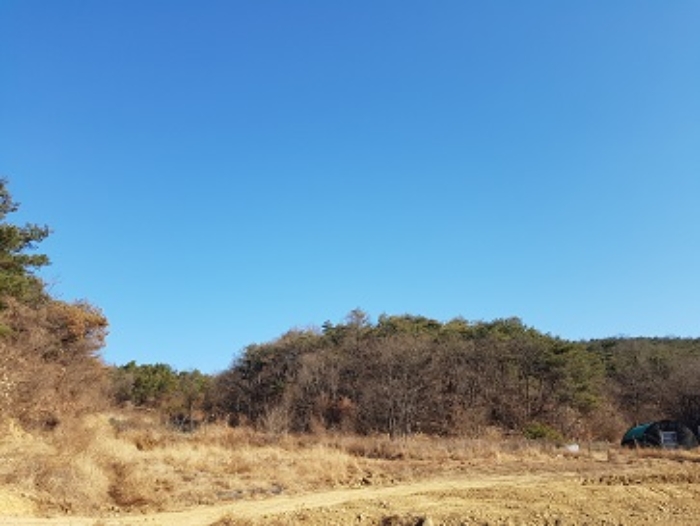 2024타경691 임야 · 대구광역시 군위군 소보면 서경리 산71