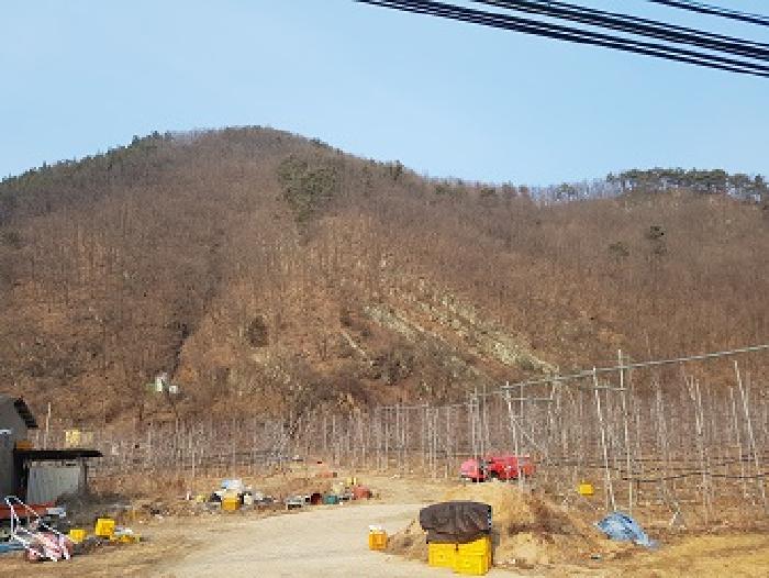 2025타경10060 임야 · 경상북도 청송군 파천면 옹점리 산76-1