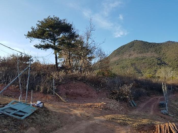 2025타경10107 임야 · 경상북도 청송군 청송읍 부곡리 산48-1