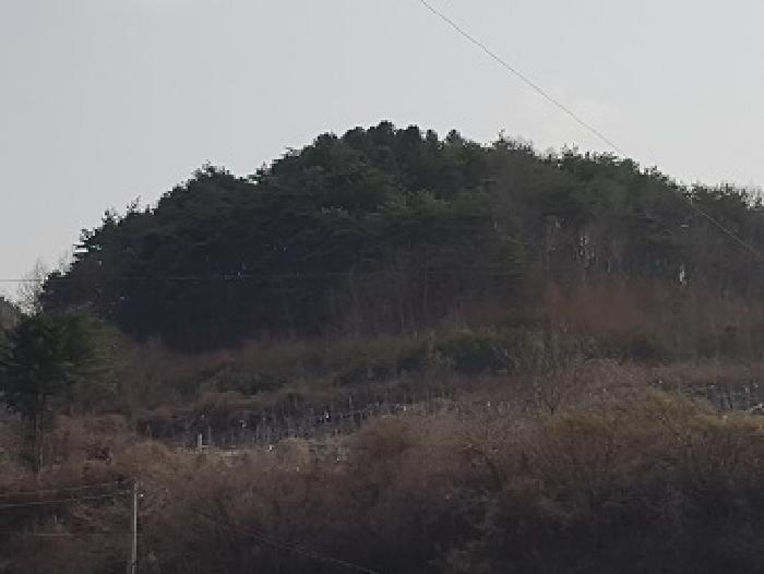 2025타경10140 전답 · 경상북도 의성군 옥산면