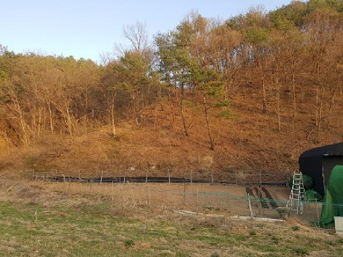2025타경10152 전답 · 경상북도 의성군 봉양면