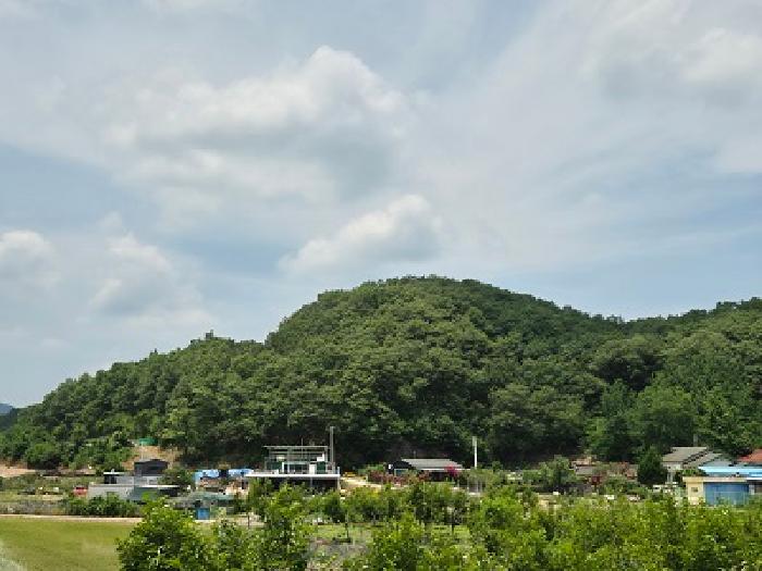 2025타경10192 임야 · 대구광역시 군위군 산성면