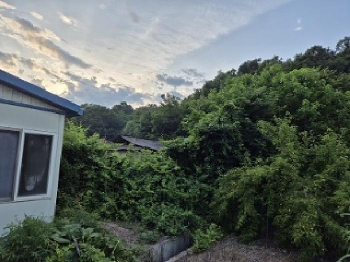 2025타경10200 대지 · 경상북도 의성군 안평면