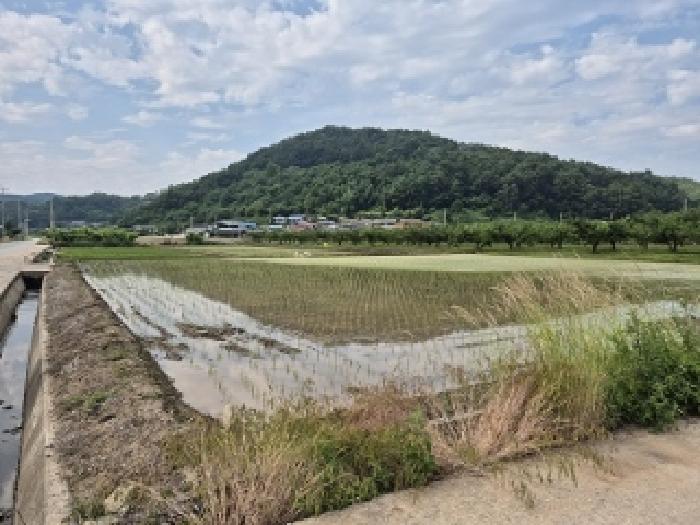 2025타경10204 전답 · 경상북도 의성군 봉양면