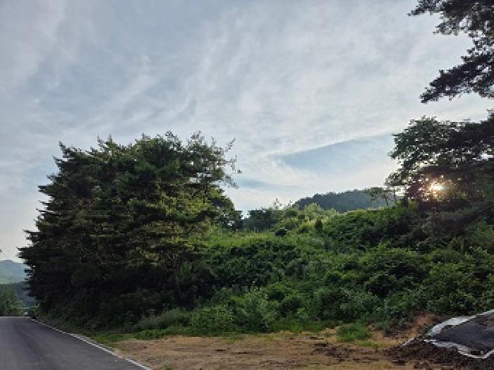 2025타경10217 · 경상북도 청송군 주왕산면 부일리 665-1
