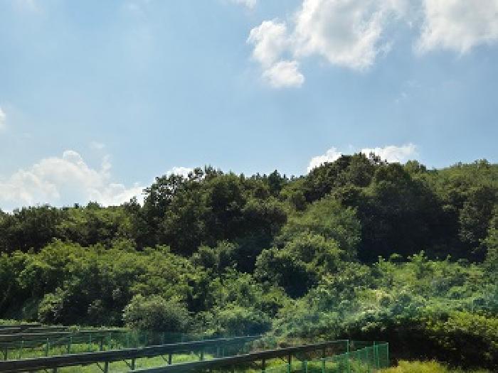 2025타경10266 · 경상북도 의성군 안계면 도덕리 354