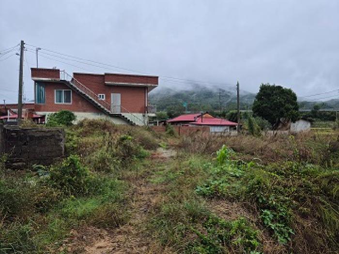 2025타경10276 대지 · 경상북도 의성군 다인면