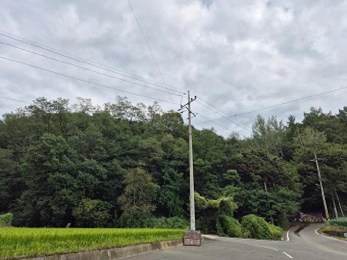 2025타경10280 임야 · 대구광역시 군위군 산성면 무암리 산30