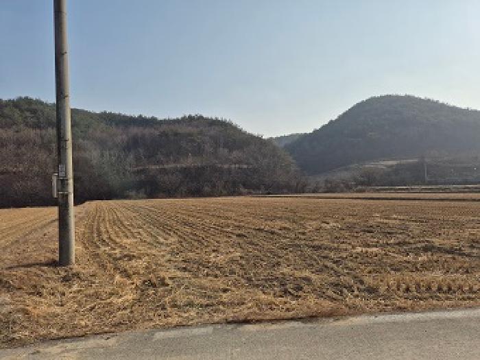 2025타경10363 전답 · 경상북도 청송군 부남면 양숙리 821-1