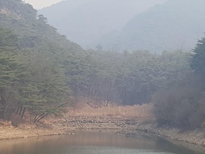 2025타경162 전답 · 경상북도 의성군 점곡면 사촌리 29