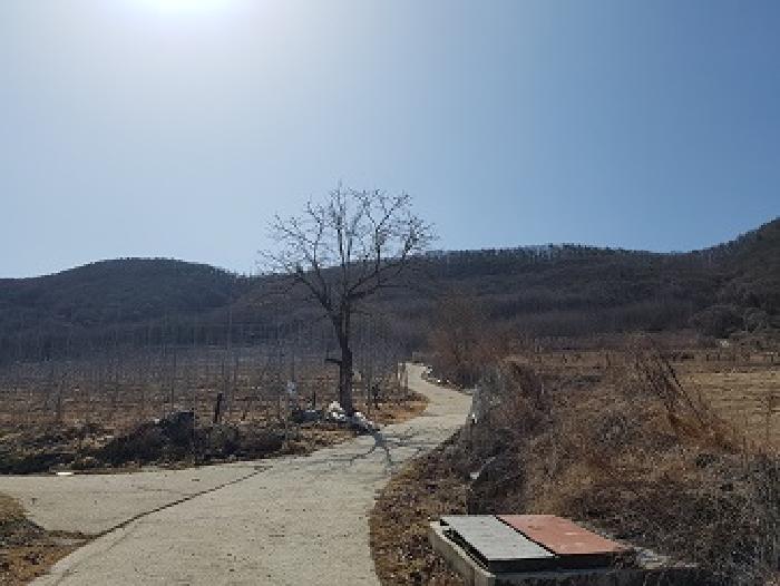 2025타경179 임야 · 경상북도 청송군 부남면 대전리 산120