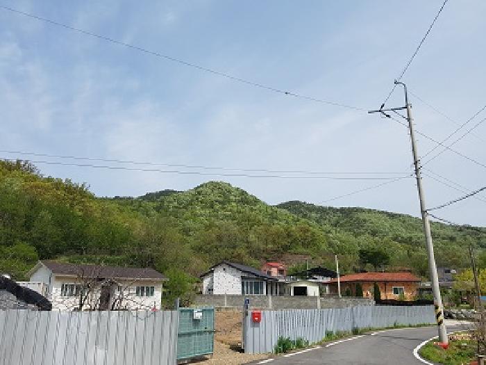2025타경223 임야 · 대구광역시 군위군 군위읍
