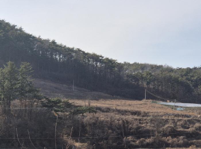 2025타경10167 대지 · 경상북도 영덕군 지품면