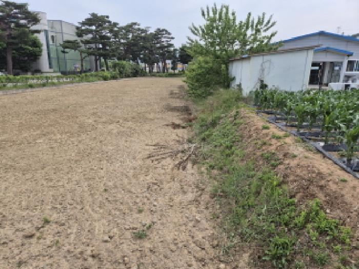 2025타경10229 전답 · 경상북도 울진군 북면