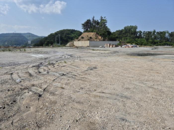 2025타경10252 대지 · 경상북도 울진군 후포면