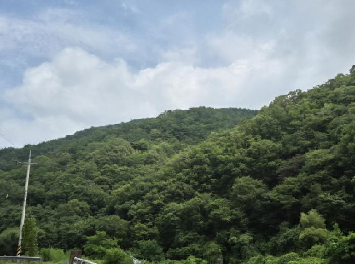 2025타경10278 임야 · 경상북도 영덕군 남정면