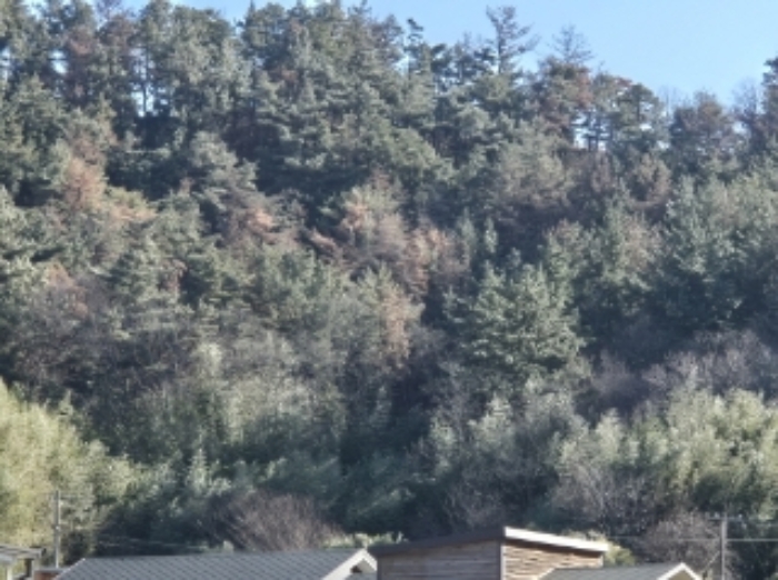 2024타경37439 임야 · 경상북도 포항시 북구 흥해읍