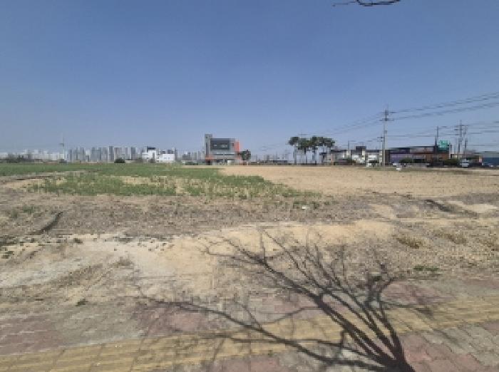 2025타경295 대지 · 경상북도 포항시 북구 흥해읍