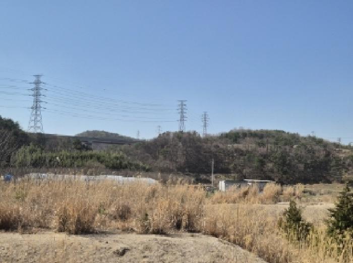 2025타경300 임야 · 경상북도 포항시 남구 오천읍