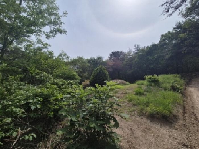 2025타경348 임야 · 경상북도 포항시 남구 연일읍