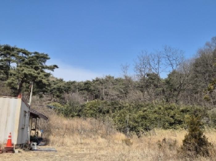 2025타경3585 임야 · 경상북도 포항시 남구 오천읍