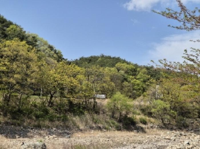 2025타경3684 임야 · 경상북도 포항시 남구 오천읍 문덕리 산159-1