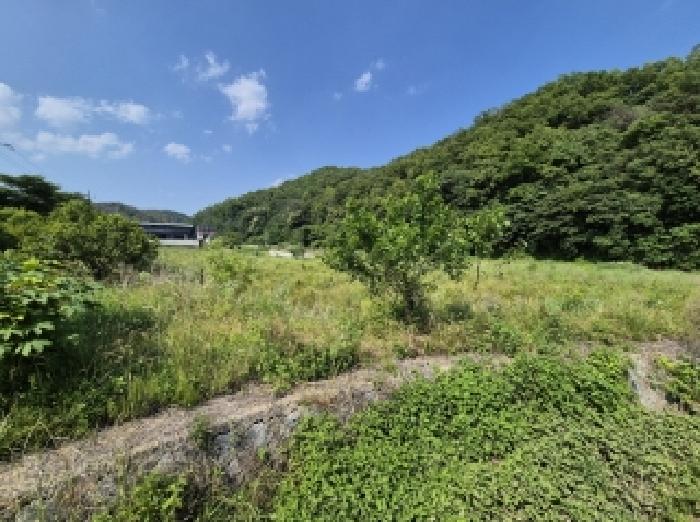 2025타경376 전답 · 경상북도 포항시 남구 동해면