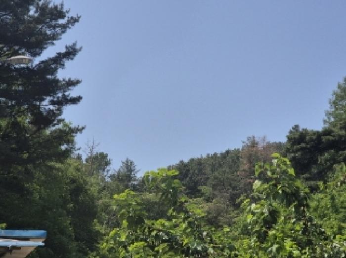 2025타경3780 임야 · 경상북도 포항시 북구 용흥동 산123-1