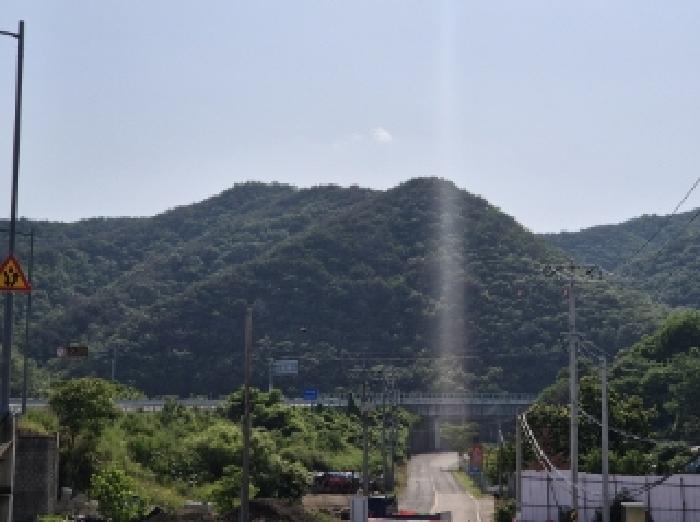 2025타경3833 임야 · 경상북도 포항시 남구 장기면 대곡리 산129-1