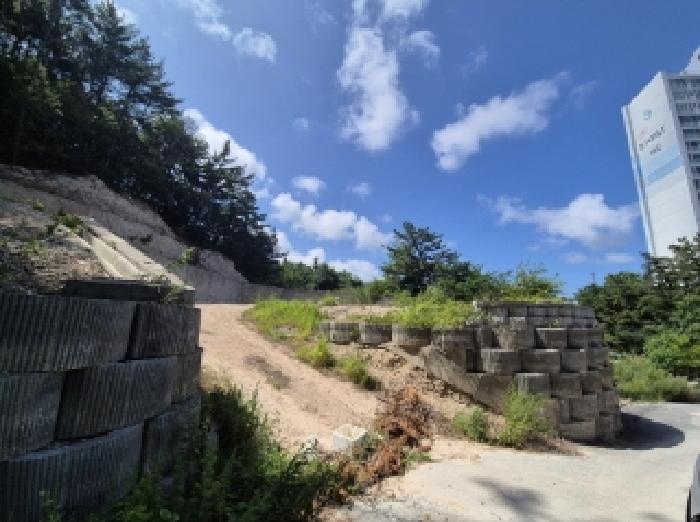 2025타경3859 임야 · 경상북도 포항시 북구 장성동 산154-3