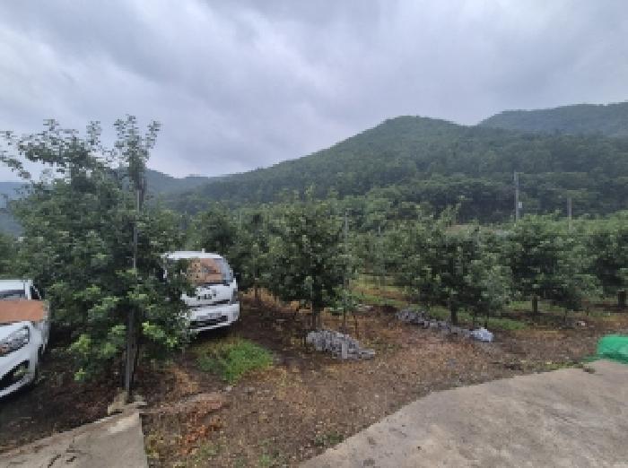 2025타경388 · 경상북도 포항시 북구 죽장면 석계리 233