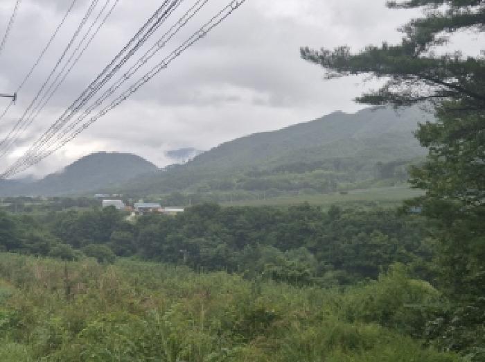 2025타경4030 대지 · 경상북도 포항시 북구 죽장면