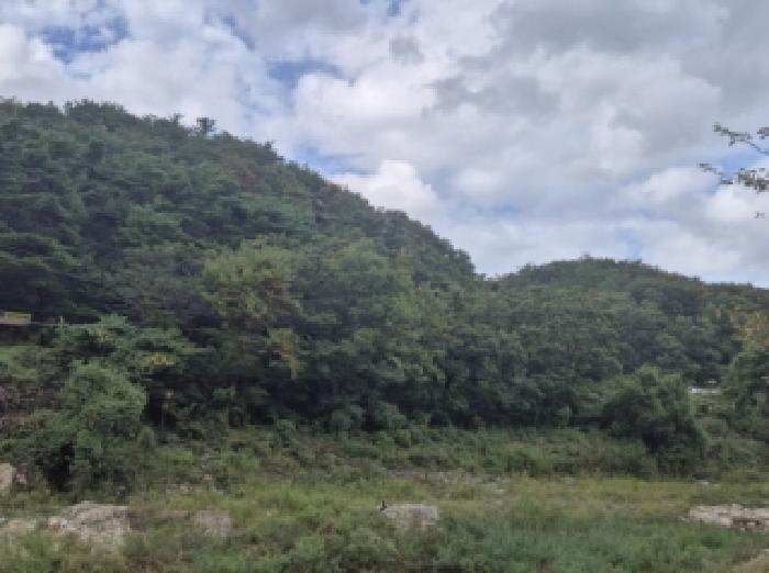 2025타경4170 임야 · 경상북도 포항시 남구 대송면 대각리 산105-5