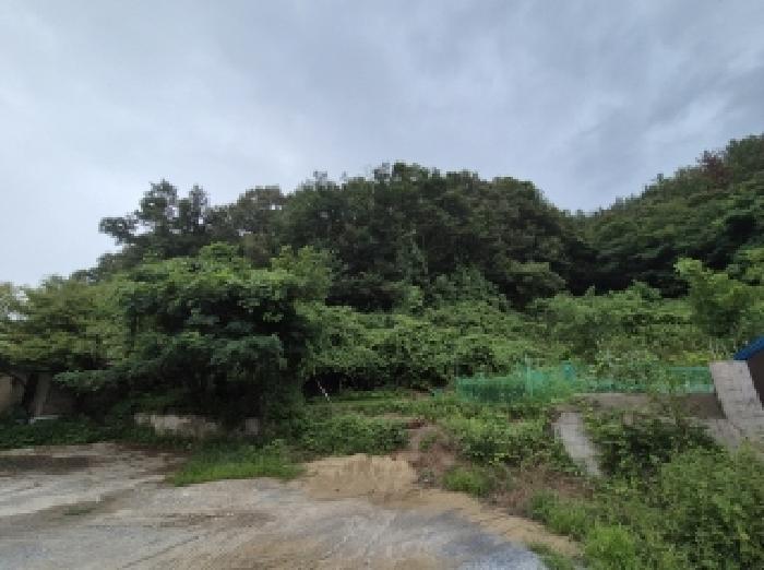 2025타경436 임야 · 경상북도 포항시 북구 우현동 산25-1