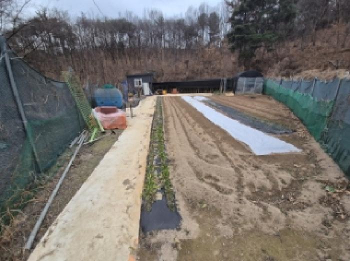 2025타경4374 · 경상북도 포항시 북구 기계면 문성리 612