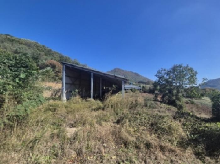 2025타경542 · 경상북도 포항시 북구 죽장면
