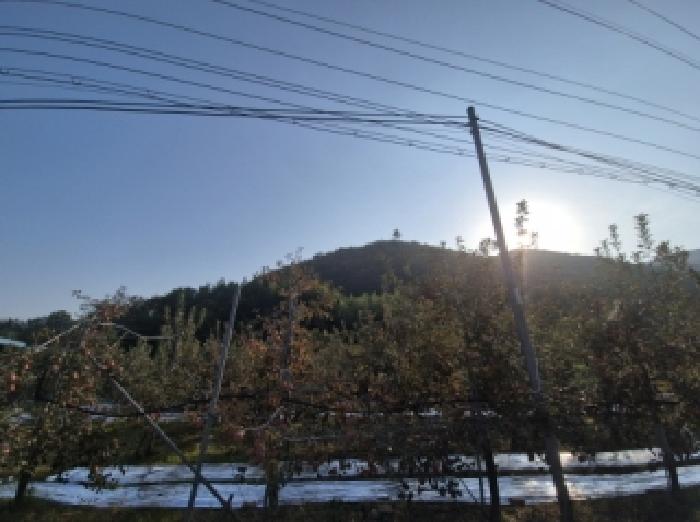 2025타경544 · 경상북도 포항시 북구 기계면 가안리 565