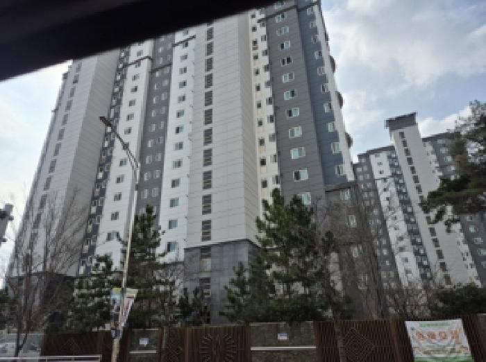 2026타경3111 아파트 · 경상북도 포항시 북구 양덕동 467-1 양덕삼구트리니엔2차 제205동 제9층 제903호