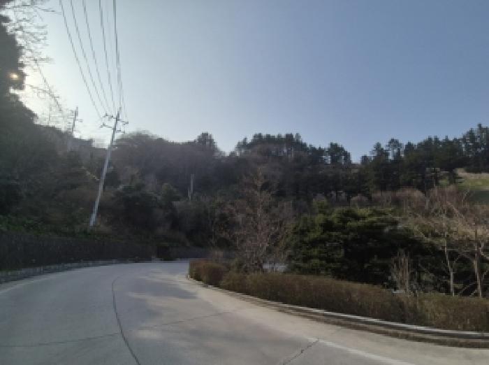 2026타경59 대지 · 경상북도 울릉군 북면 현포리 753
