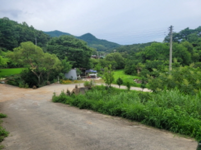 2024타경2675 전답 · 경상북도 성주군 월항면