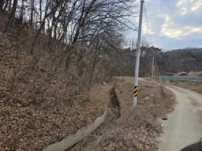 2025타경2887 전답 · 경상북도 성주군 월항면