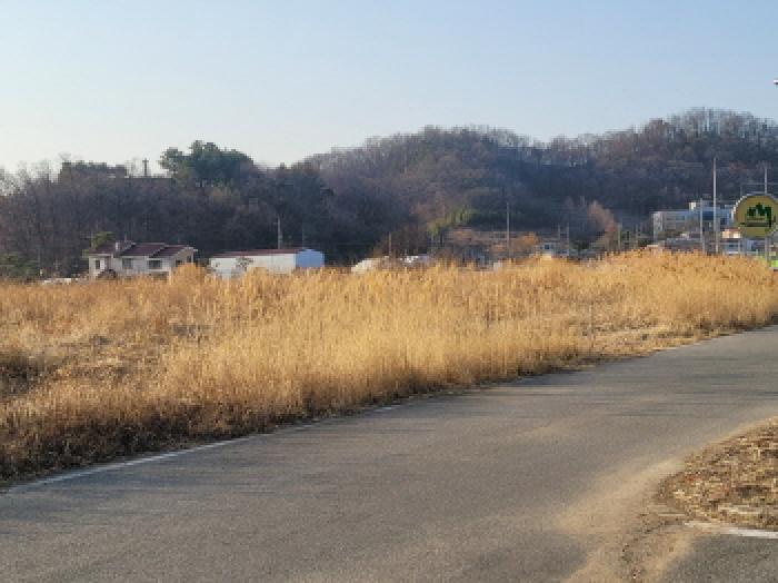 2025타경30932 전답 · 경상북도 성주군 성주읍