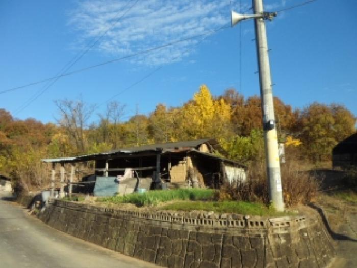 2025타경31994 대지 · 대구광역시 달성군 구지면 목단리 421